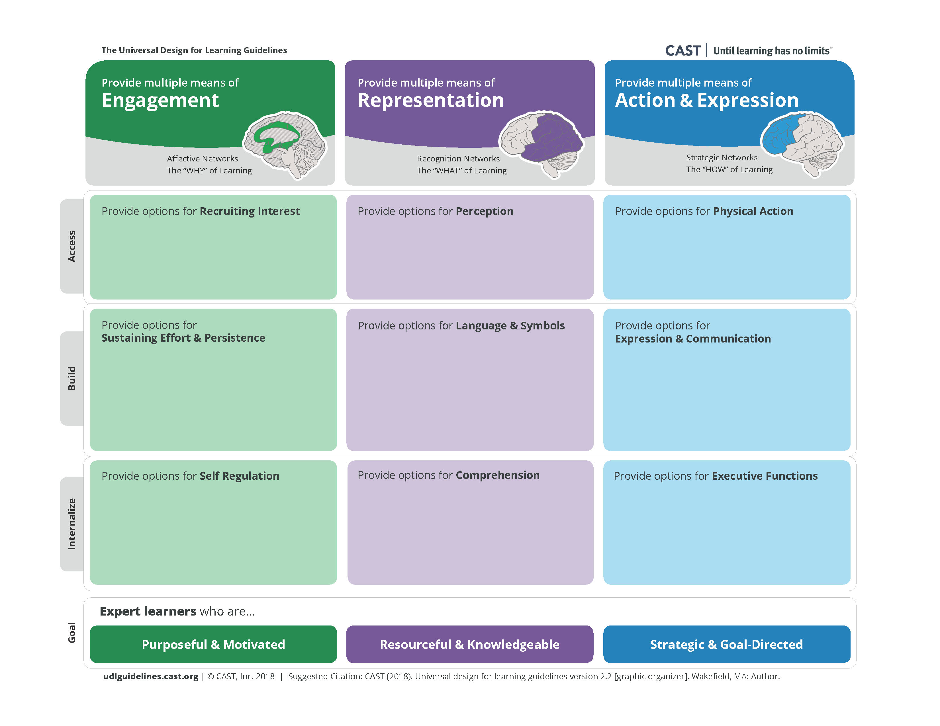 universal design for learning guidelines